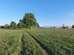 Parco del Beato Bertrando